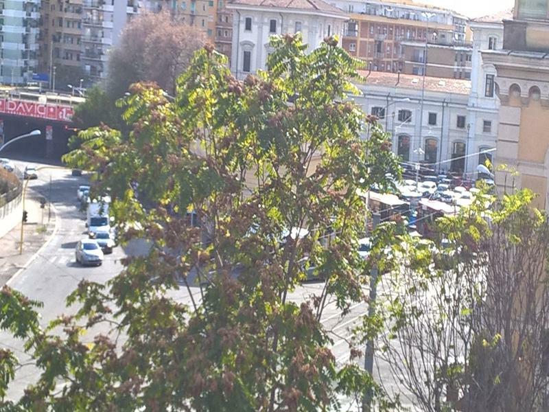Elegance Scalini Di Trastevere ローマ エクステリア 写真